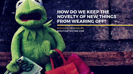 How Do We Keep The Novelty Of New Things From Wearing Off