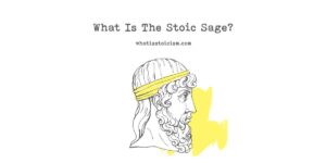 Read more about the article What Is The Stoic Sage?