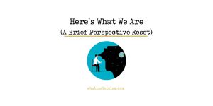 Read more about the article Here’s What We Are (A Brief Perspective Reset)