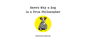 Dog is a True Philosopher
