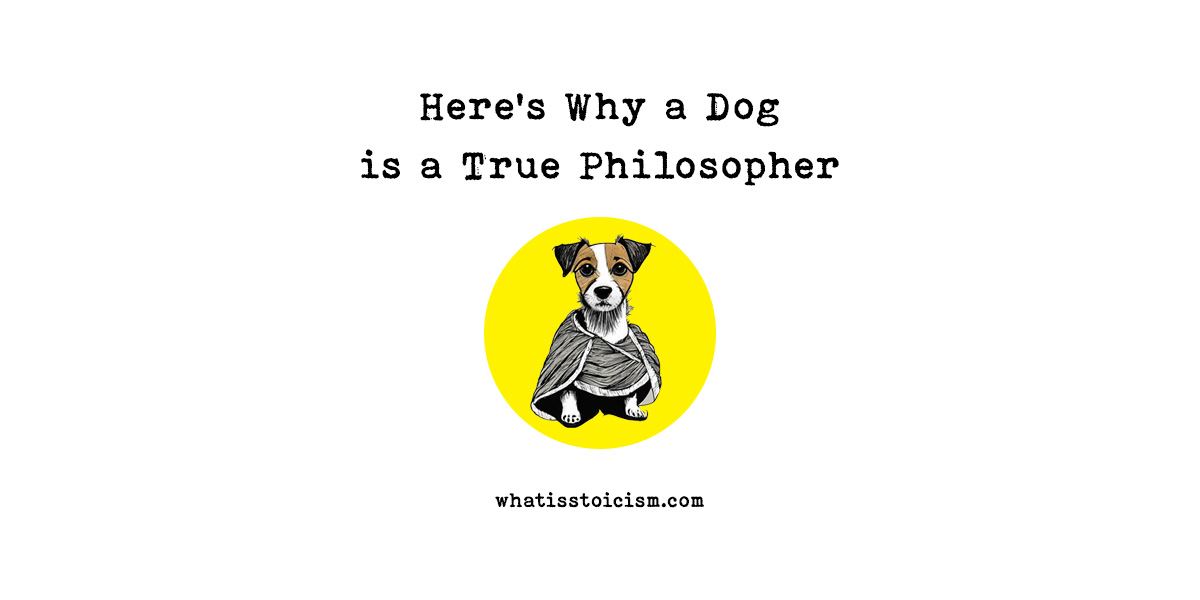 Dog is a True Philosopher
