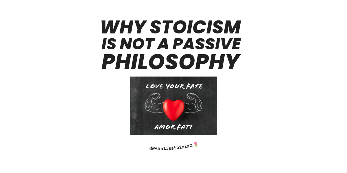 Read more about the article Why Stoicism Is Not A Passive Philosophy