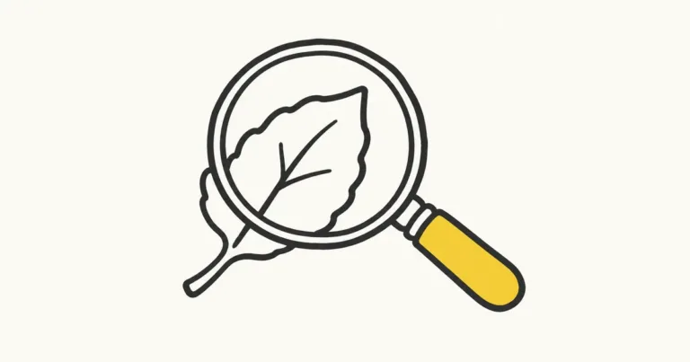 Read more about the article How to Judge Stoic Impressions Like Epictetus: A Guide to Perceiving Clearly